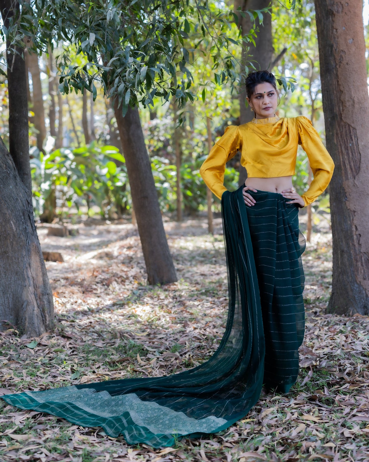 Green Chiffon Silk Saree