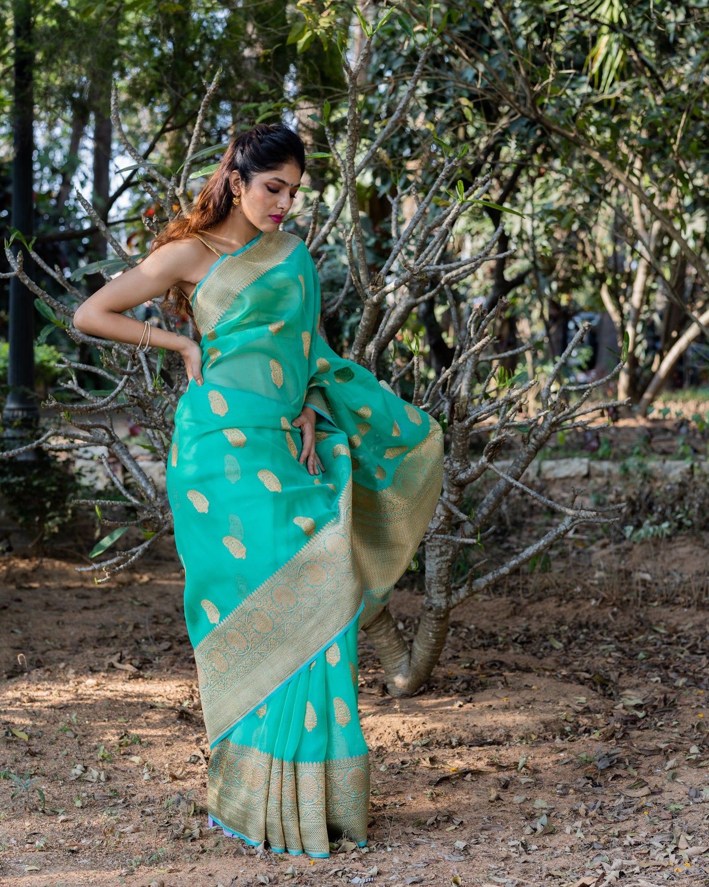 Blue Banarasi Organza Silk Saree