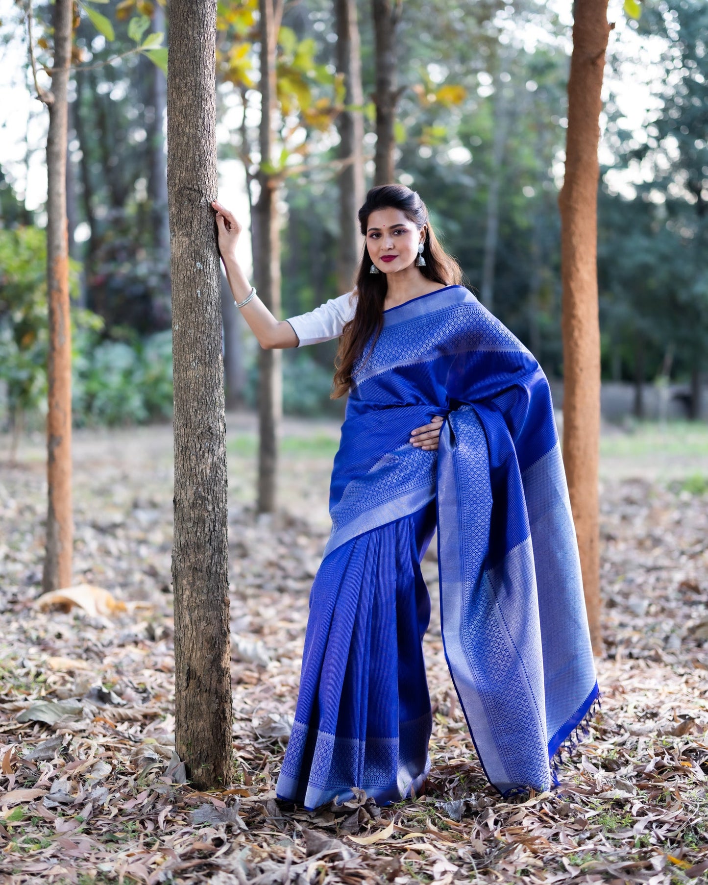 Violet Kanchivaram Handloom Silk Saree