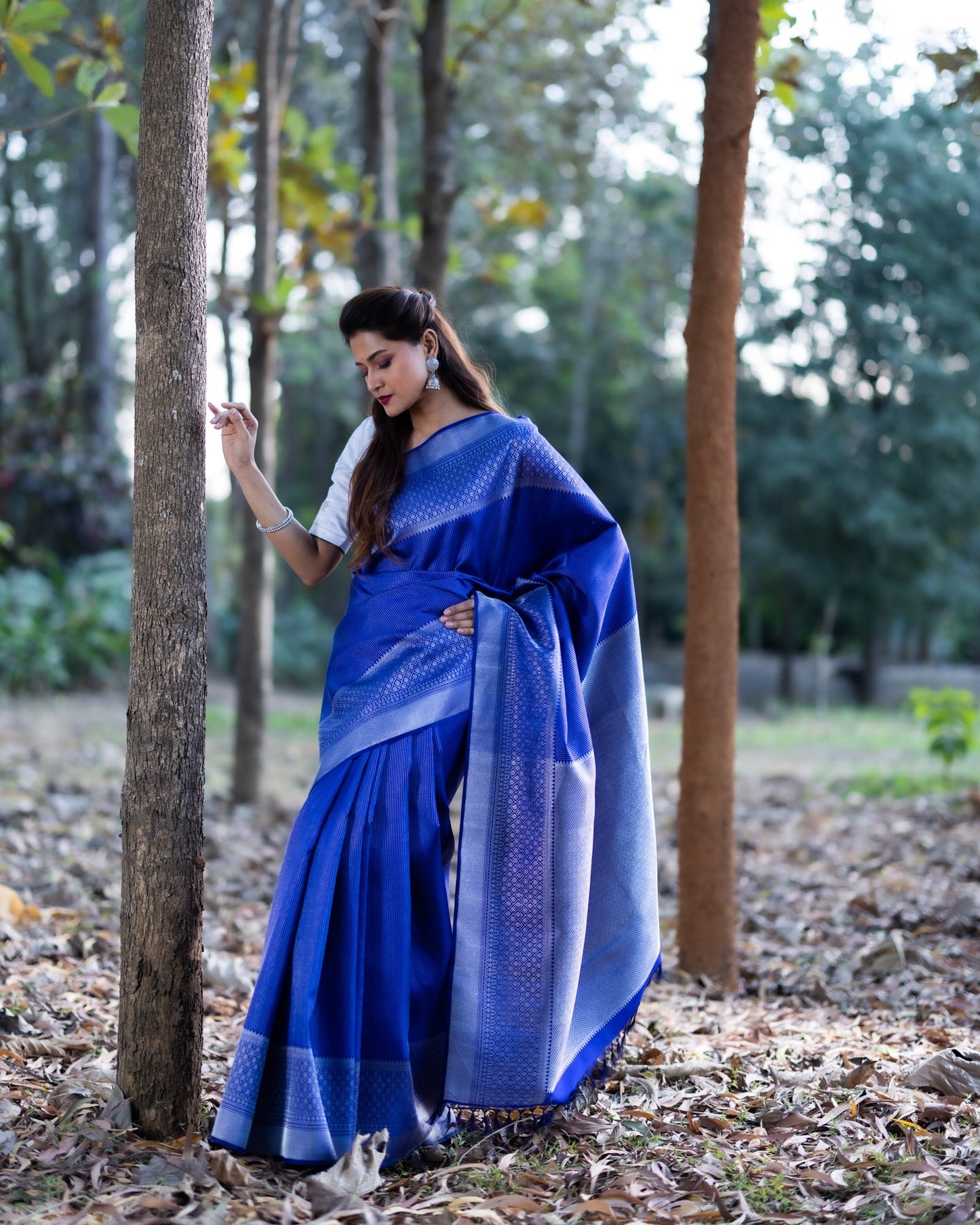 Violet Kanchivaram Handloom Silk Saree