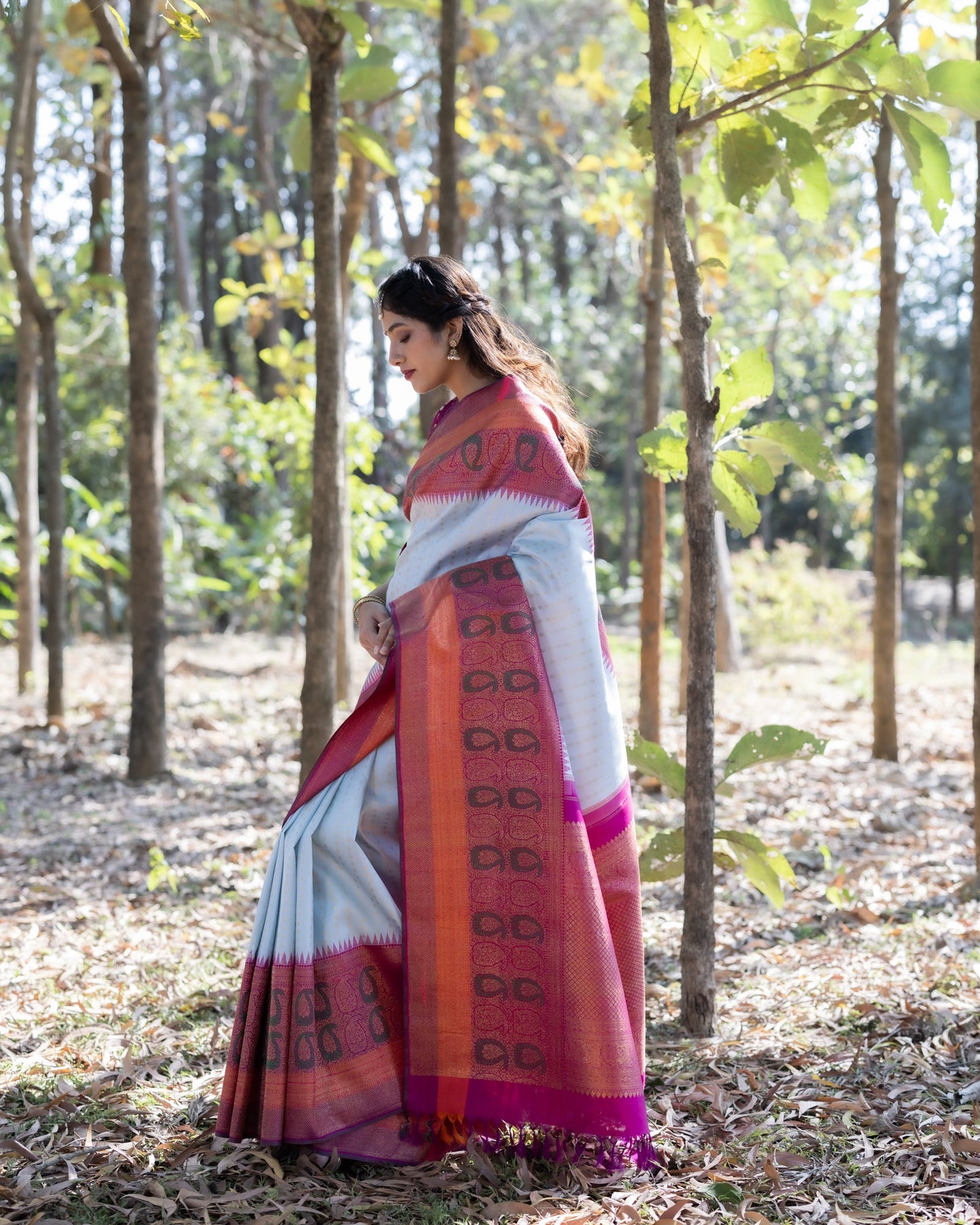 Grey Kanchivaram Handloom Silk Saree