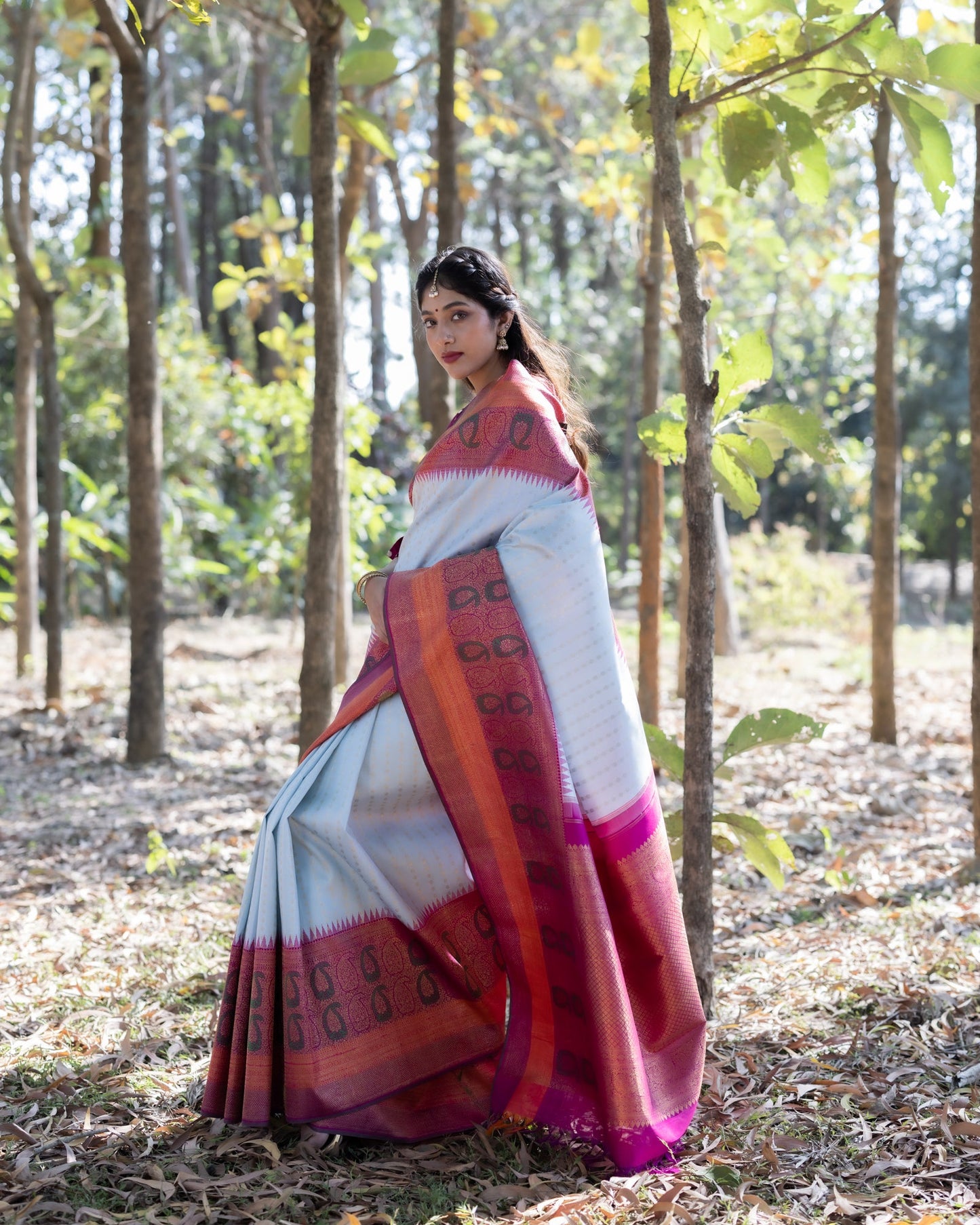 Grey Kanchivaram Handloom Silk Saree