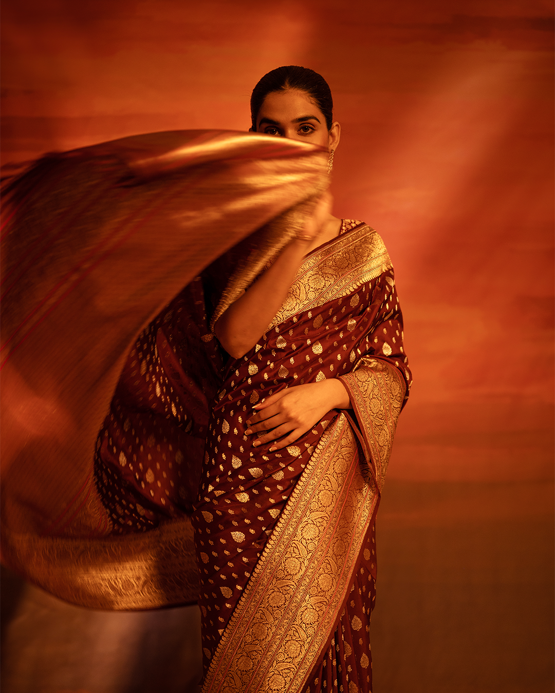 Brown Banarasi silk saree
