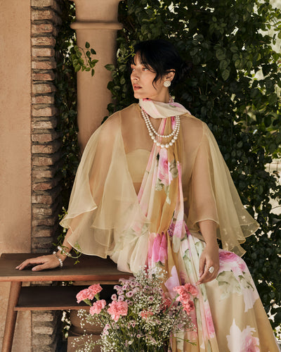Off White and Brown Printed Chiffon Saree