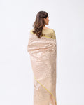 Silver Grey Banarasi Silk Saree