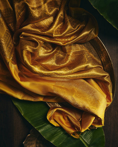 Silver Kanchivaram Tissue Silk Saree - 069 of 105