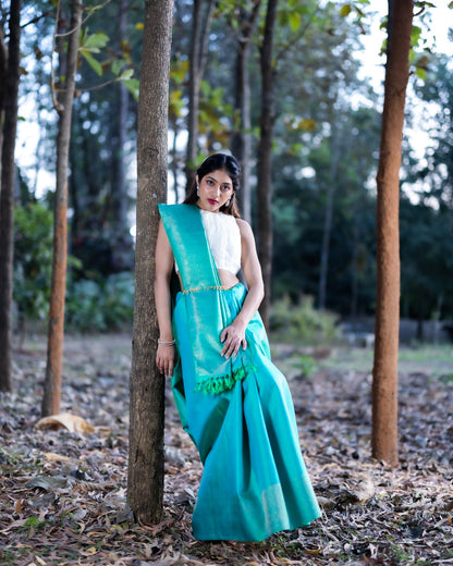 Green Kanchivaram Handloom Silk Saree