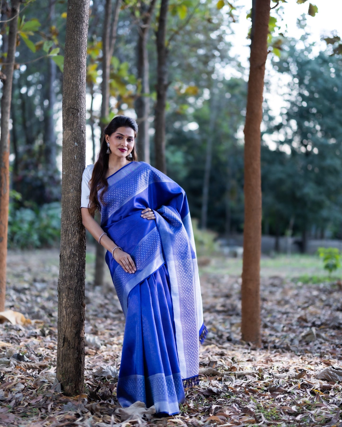 Violet Kanchivaram Handloom Silk Saree